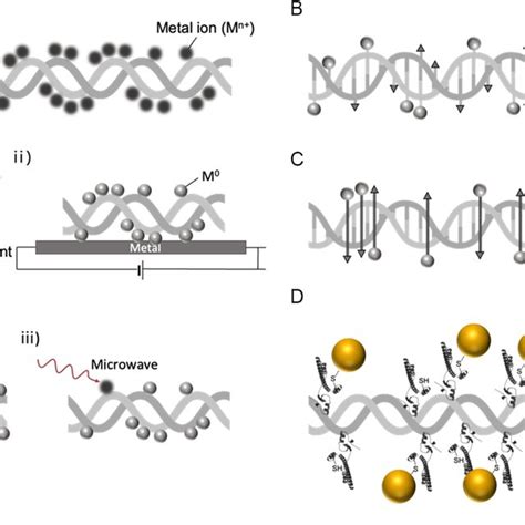 dna metalization reaction